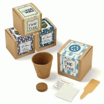 Pine Tree Growables Planter in Kraft Gift Box with Label