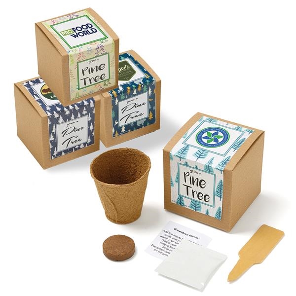 Pine Tree Growables Planter in Kraft Gift Box with Label