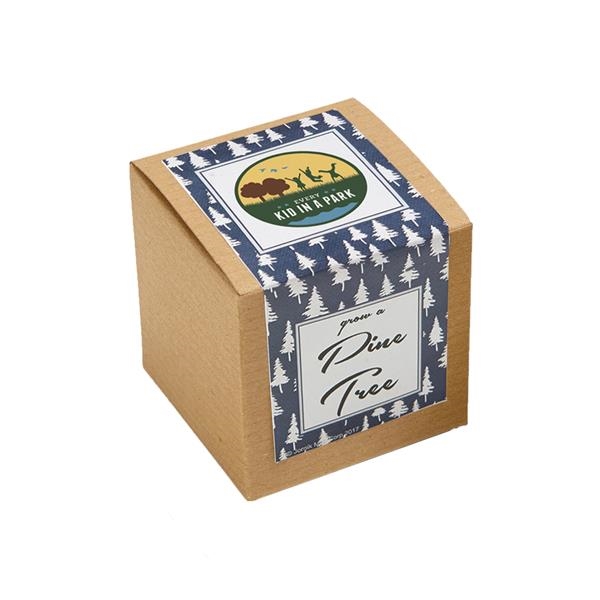 Pine Tree Growables Planter in Kraft Gift Box with Label