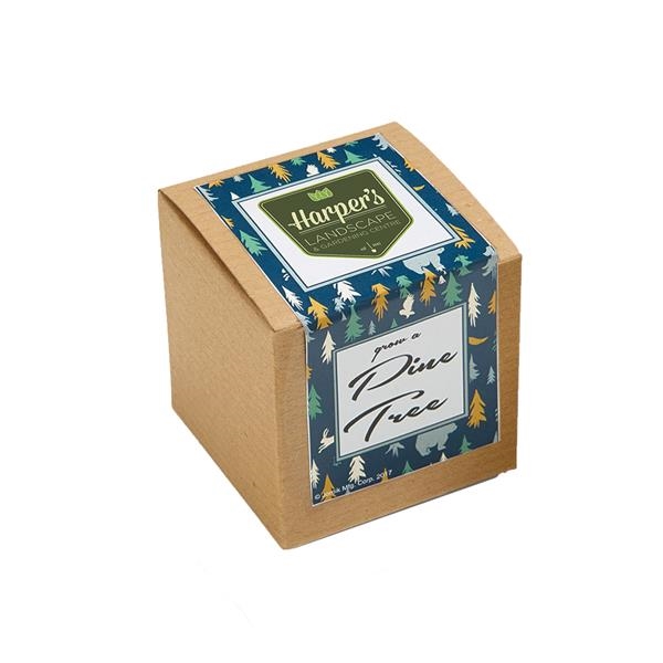 Pine Tree Growables Planter in Kraft Gift Box with Label