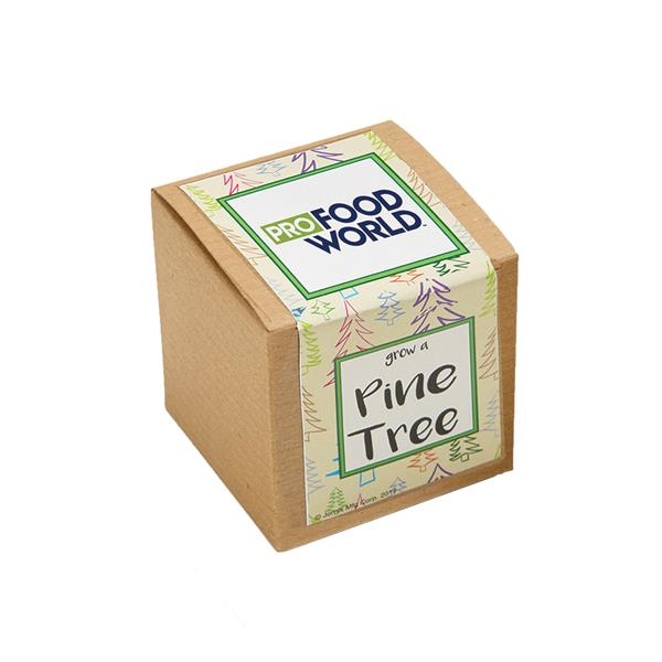 Pine Tree Growables Planter in Kraft Gift Box with Label